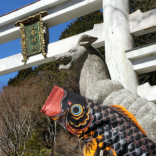 三峯神社と鯉のぼり